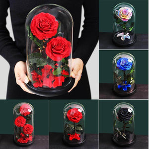 Preserved Rose In Glass - Madeofrose