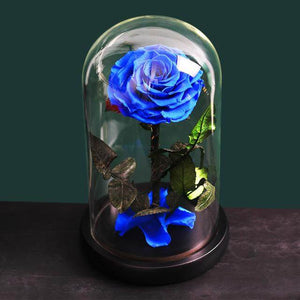 Preserved Natural Rose In Glass -  Black-3-Roses