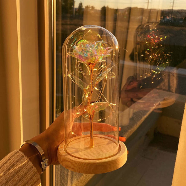 woman holding a light-up LED rose in glass dome near a window