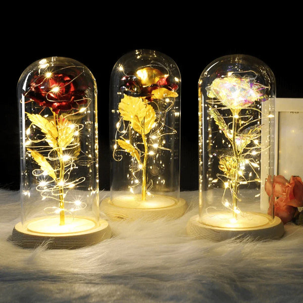 three variants of light up roses in glass dome on table