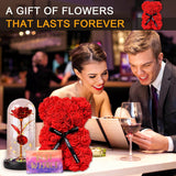Valentine's Day Gift Bundle Rose In Glass + Rose Bear Red [NEW]