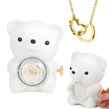 Preserved Rose Bear Box With Engraved Necklace [NEW]