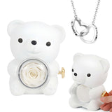 Preserved Rose Bear Box With Engraved Necklace [NEW]