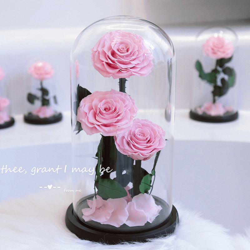 Rose In Glass Preserved Natural Rose In Glass Dome - MadeOfRose – Madeofrose
