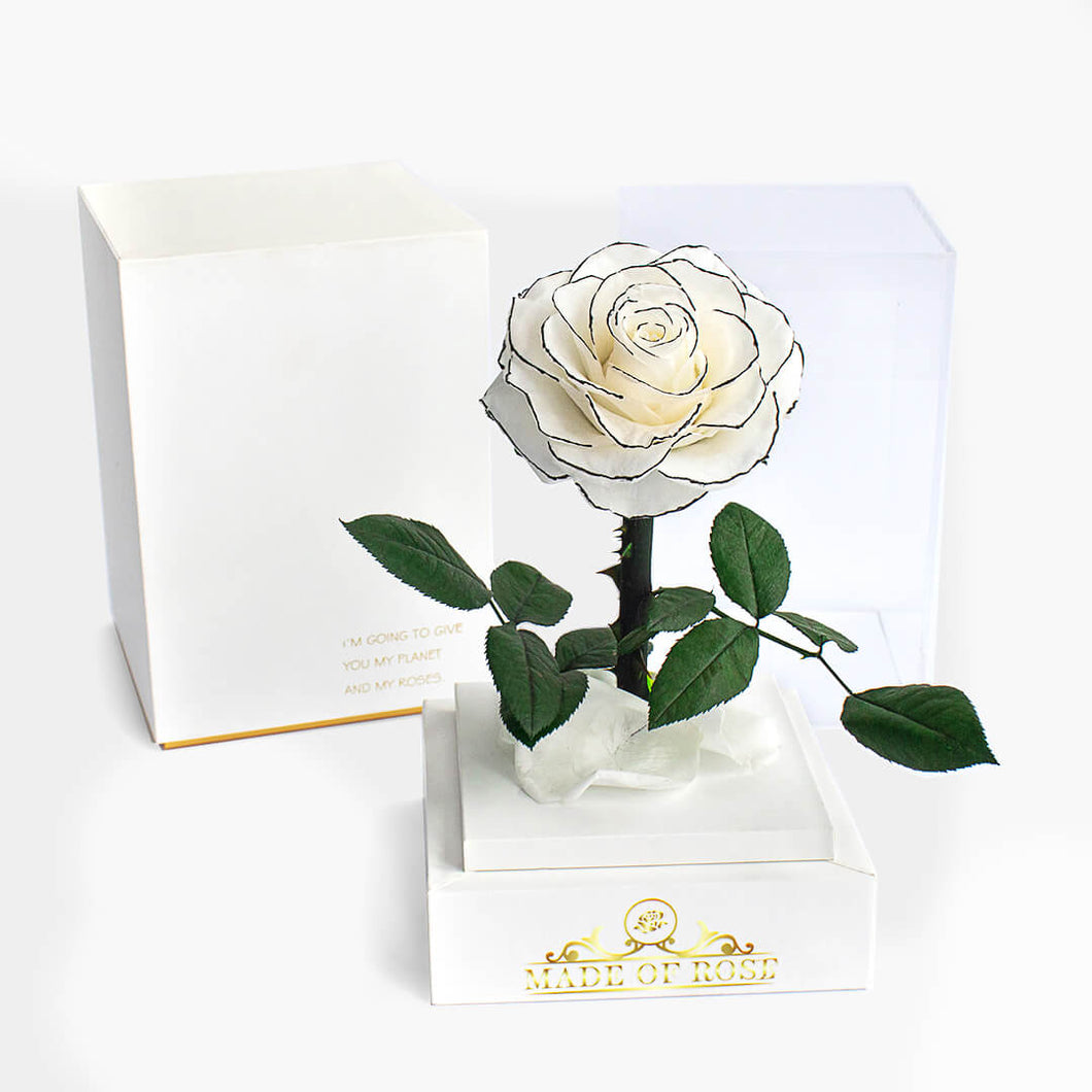 Madeofrose Exclusive Preserved Rose + Gift Box - Madeofrose