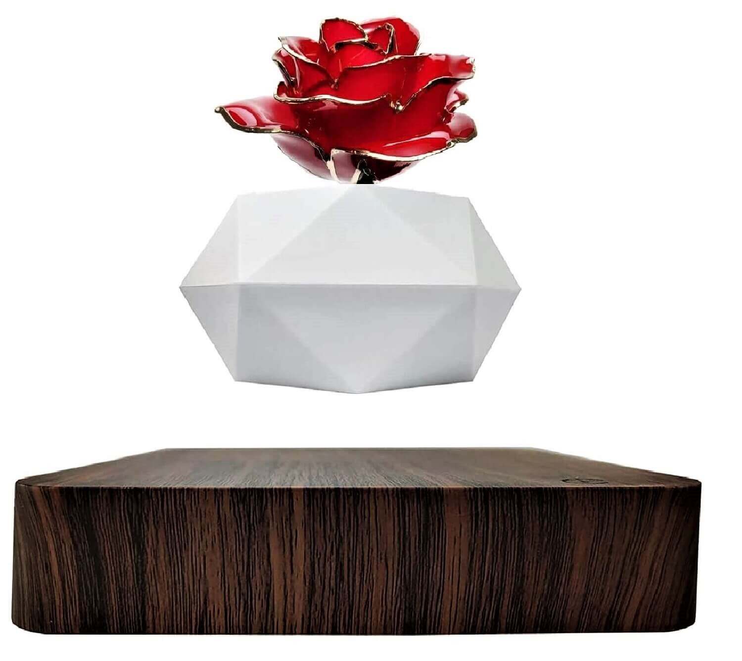 zero gravity plant pot Levitating Rose Holder: Elegant Floating Decoration – Madeofrose