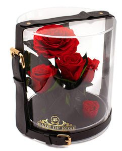 Madeofrose® Preserved Roses In Glass Dome Blue