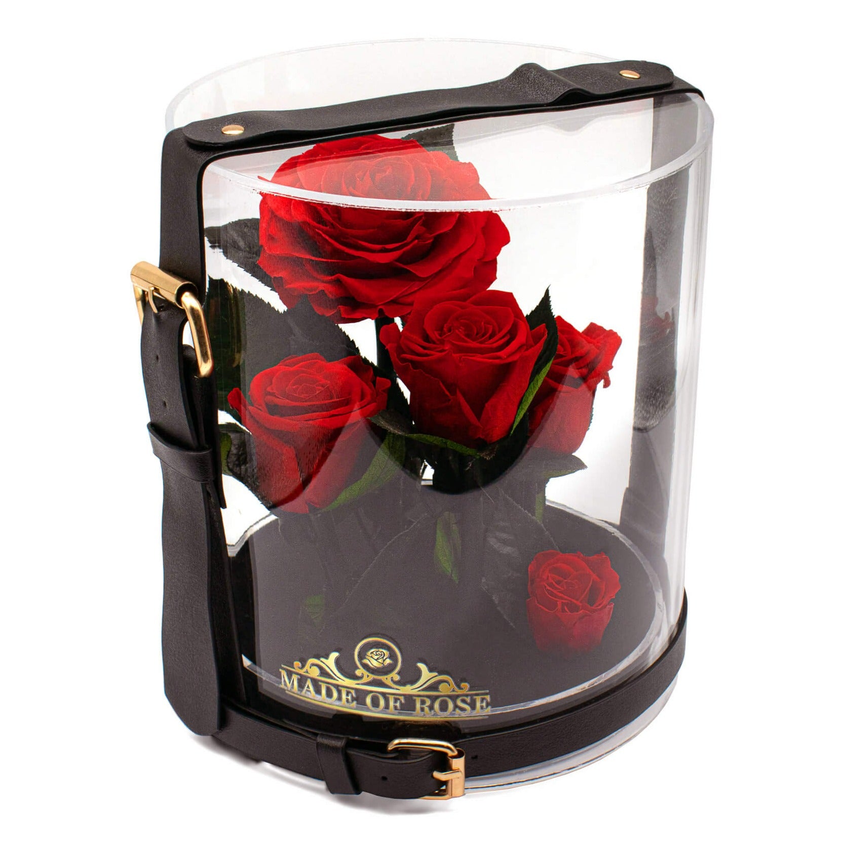 Glass Container With Roses Madeofrose Preserved Roses In Glass Dome - Madeofrose