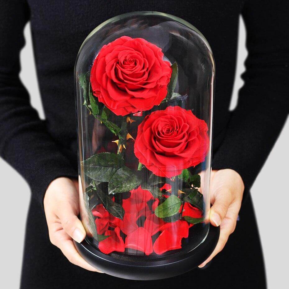 Preserved Natural Rose In Glass Dome - MadeOfRose – Madeofrose