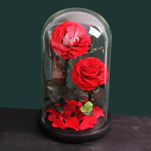Rose In Glass Preserved Natural Rose In Glass Dome - MadeOfRose – Madeofrose