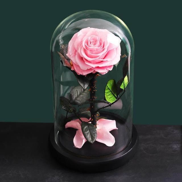 Rose In Glass Preserved Natural Rose In Glass Dome - MadeOfRose – Madeofrose